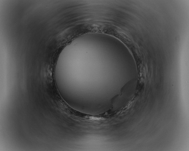 X0000088391013200705221110