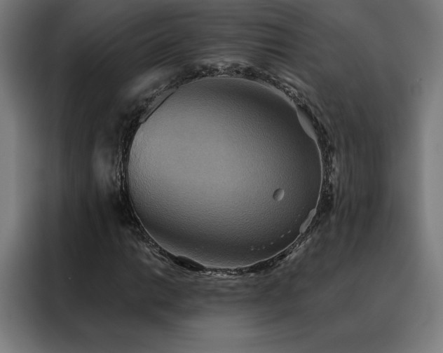 X0000088391014200705221110