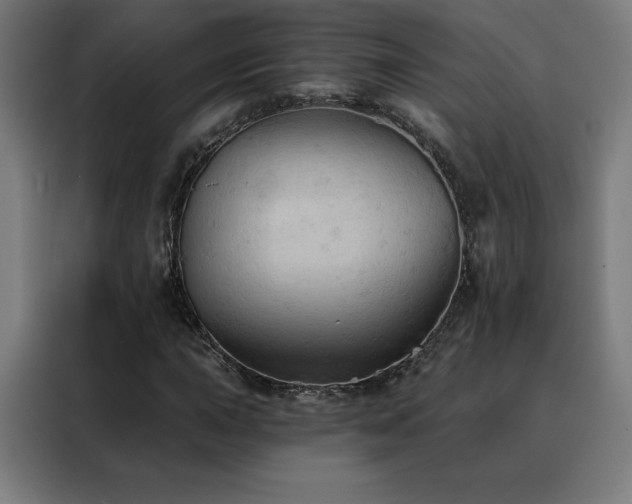 X0000088391015200705221110