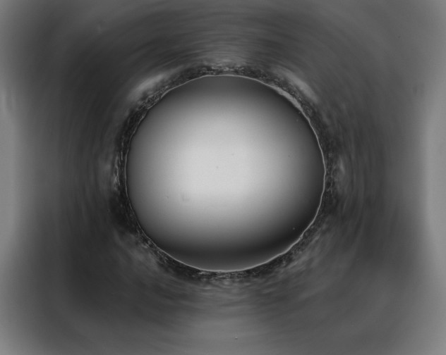 X0000088391016200705221110