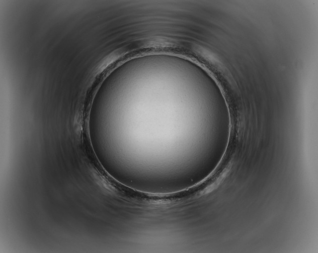 X0000088391017200705221110