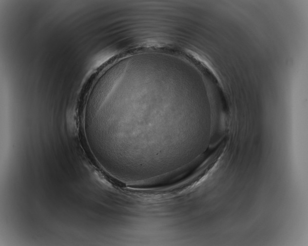 X0000088391018200705221110