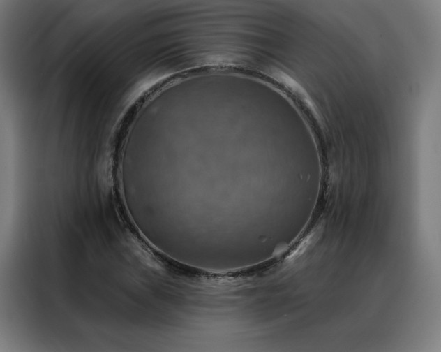 X0000088391019200705221110