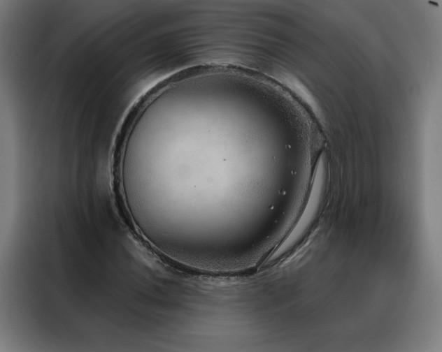 X0000088391020200705221110