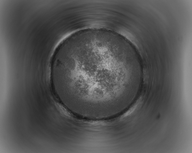 X0000088391021200705221110