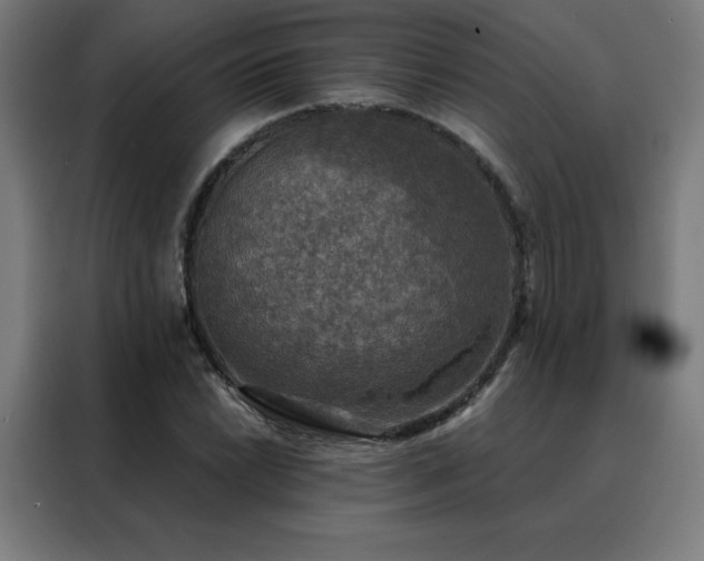 X0000088391022200705221110