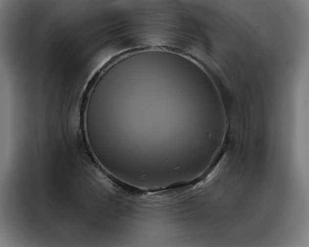 X0000088391023200705221110