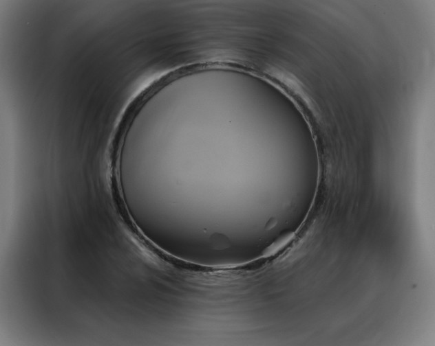 X0000088391024200705221110