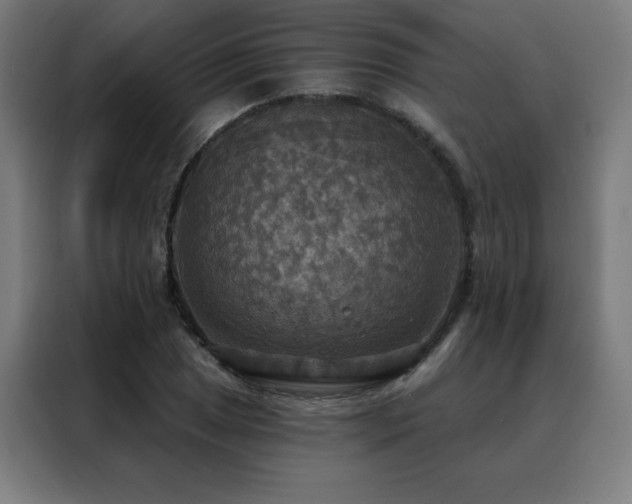 X0000088391025200705221110