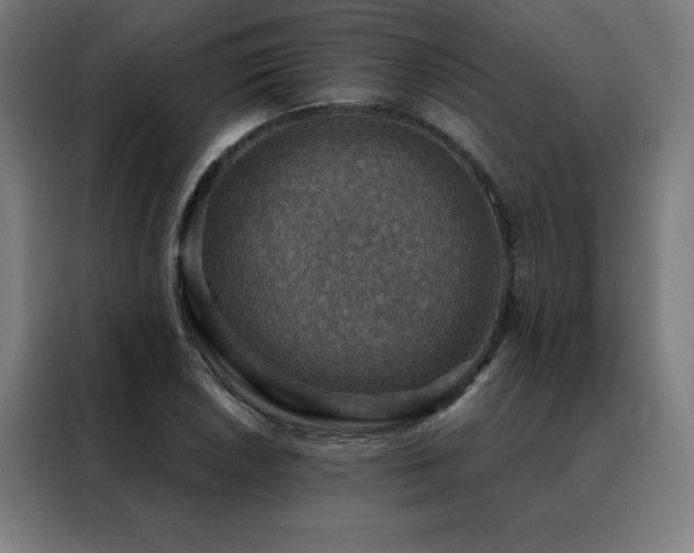 X0000088391026200705221110