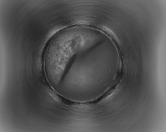 X0000088391027200705221110