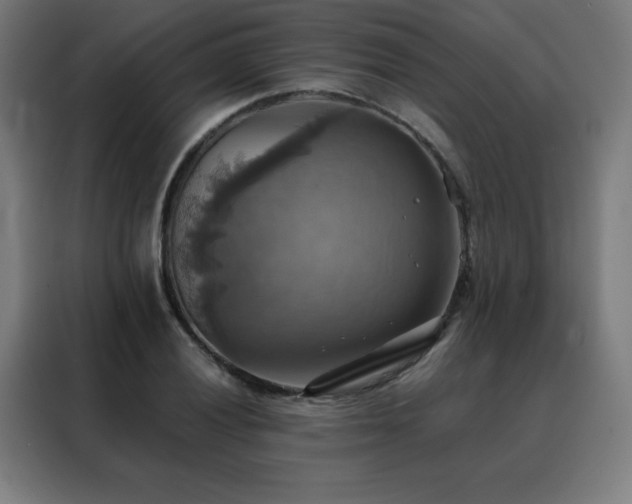 X0000088391028200705221110