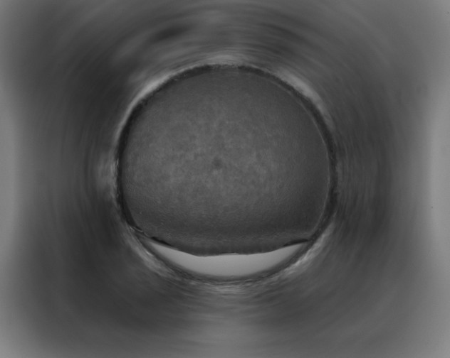 X0000088391029200705221110