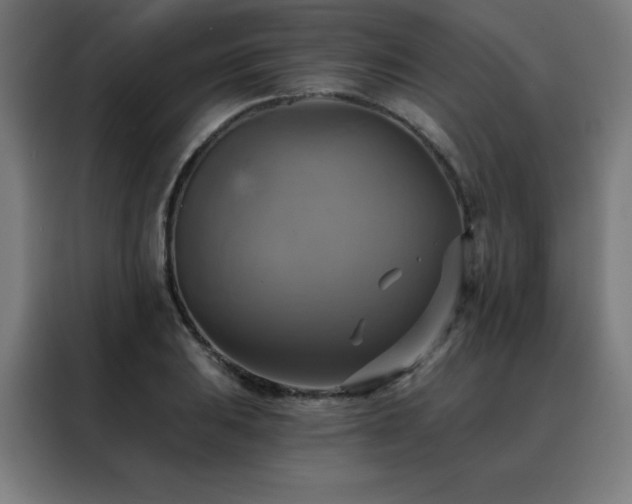 X0000088391031200705221110