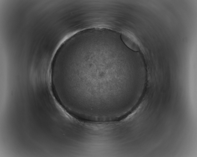 X0000088391032200705221110