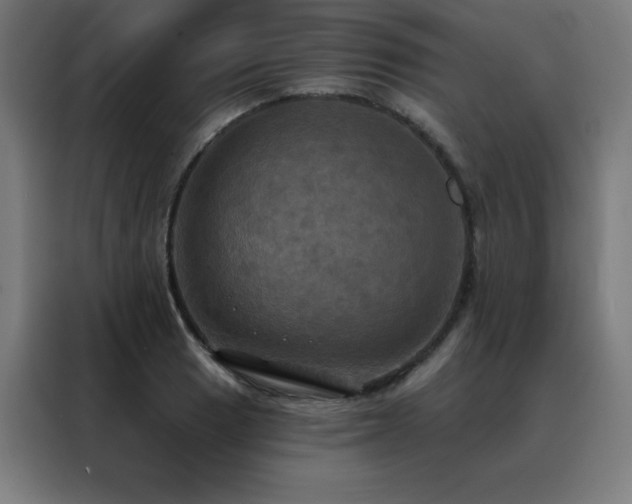 X0000088391033200705221110