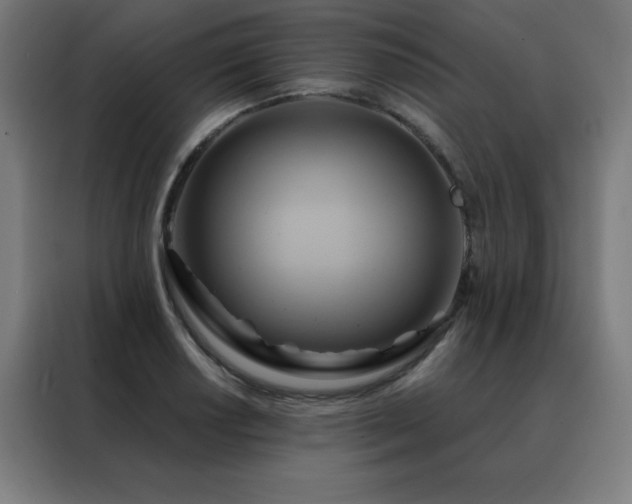 X0000088391034200705221110