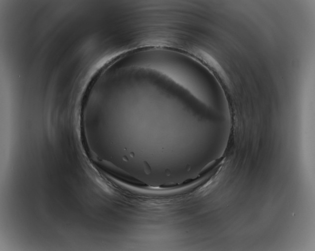 X0000088391035200705221110