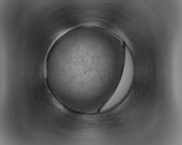 X0000088391036200705221110