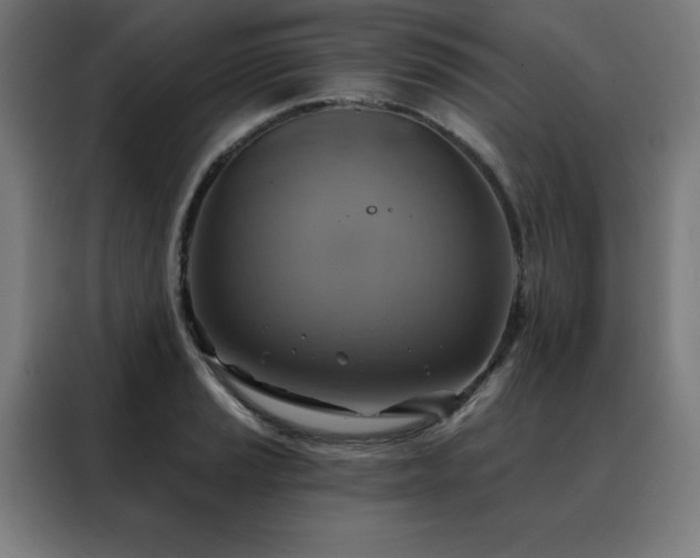 X0000088391037200705221110