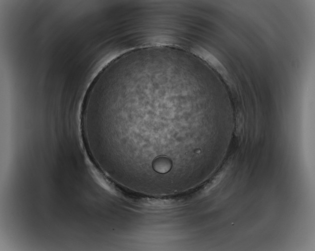 X0000088391039200705221110