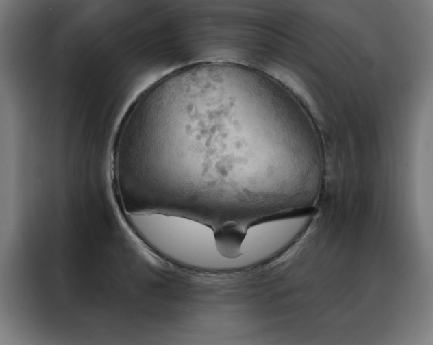 X0000088391040200705221110