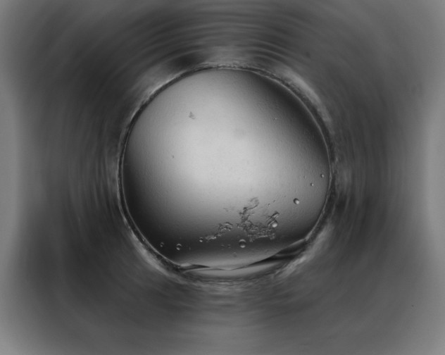 X0000088391041200705221110