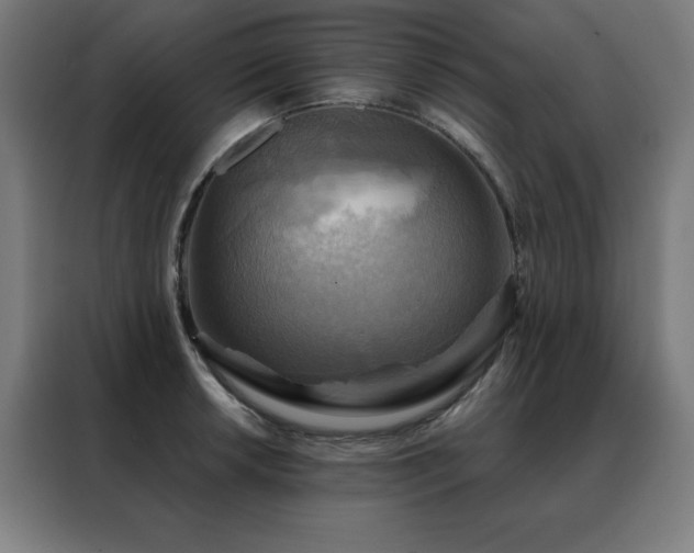 X0000088391042200705221110