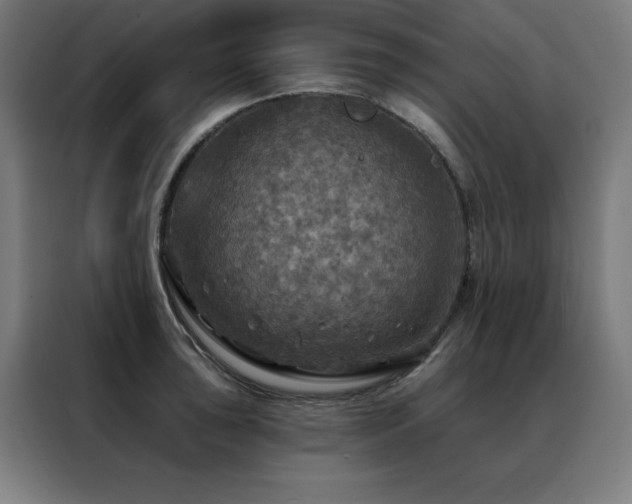 X0000088391043200705221110