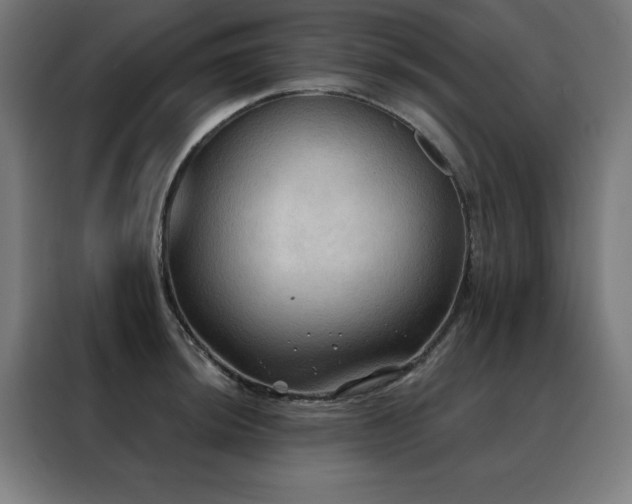 X0000088391044200705221110