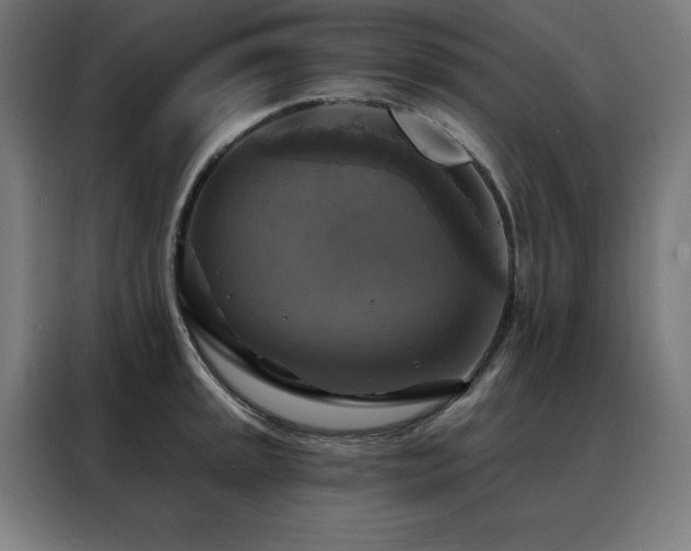 X0000088391045200705221110