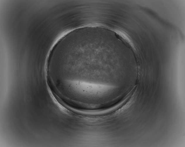 X0000088391046200705221110