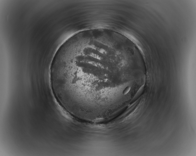 X0000088391047200705221110