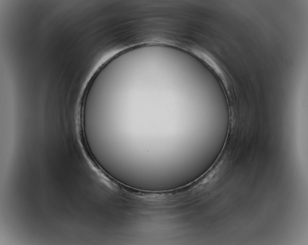 X0000088391048200705221110