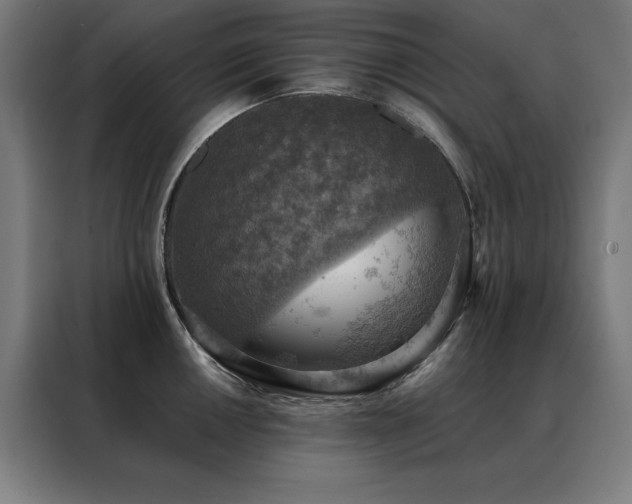 X0000088391050200705221110