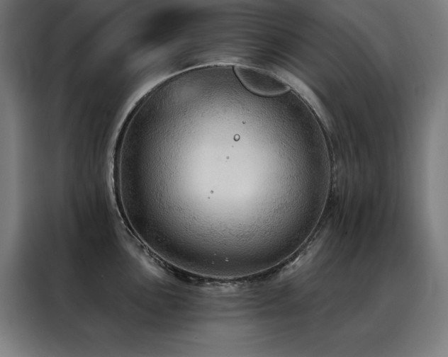 X0000088391051200705221110