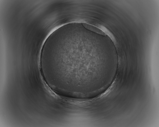 X0000088391052200705221110