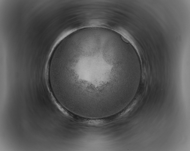 X0000088391053200705221110