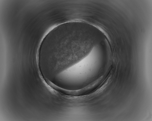 X0000088391054200705221110