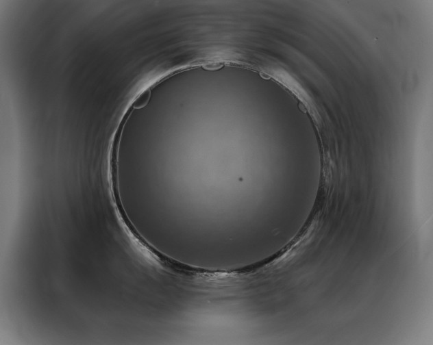 X0000088391055200705221110