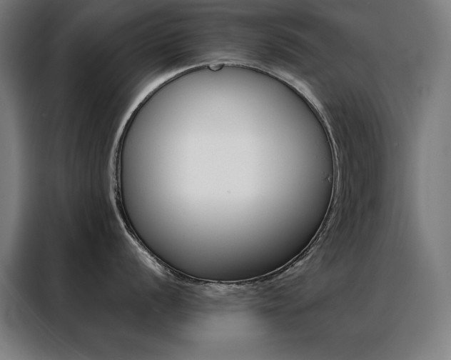 X0000088391056200705221110