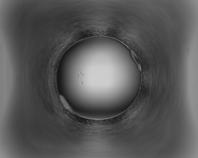 X0000088391057200705221110