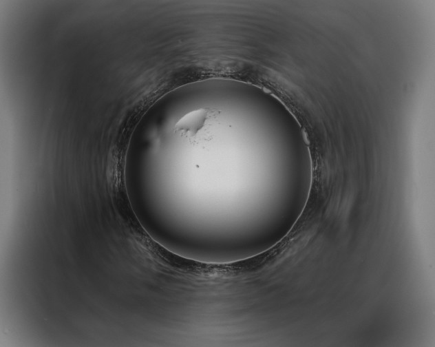 X0000088391058200705221110