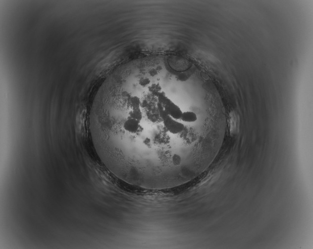 X0000088391059200705221110