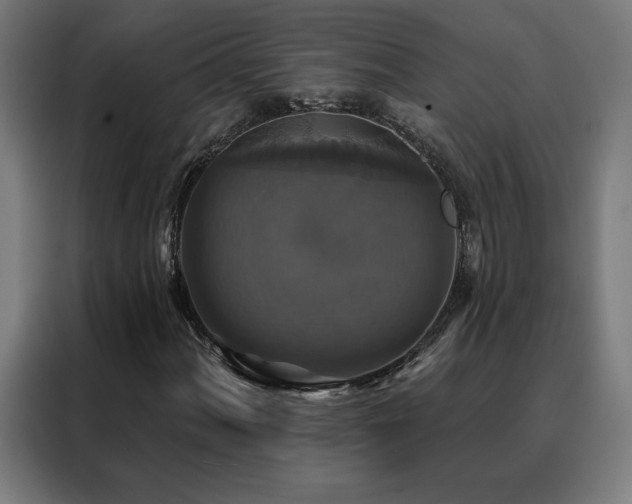 X0000088391060200705221110