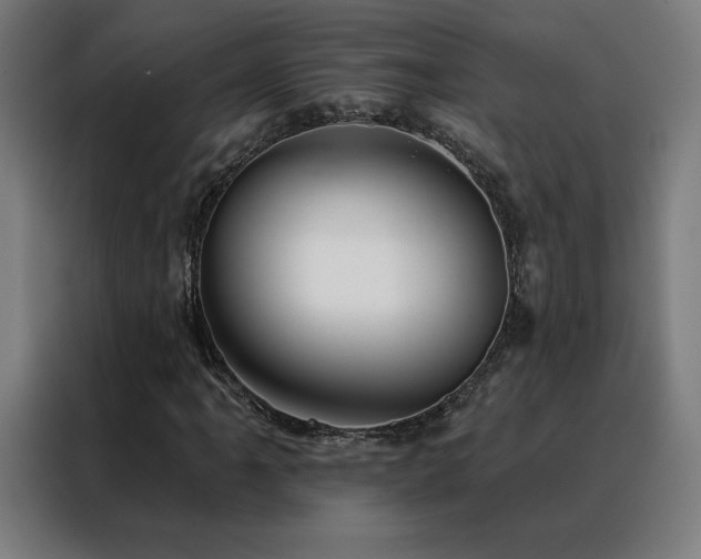 X0000088391061200705221110