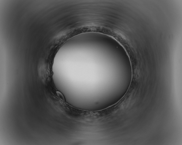 X0000088391062200705221109