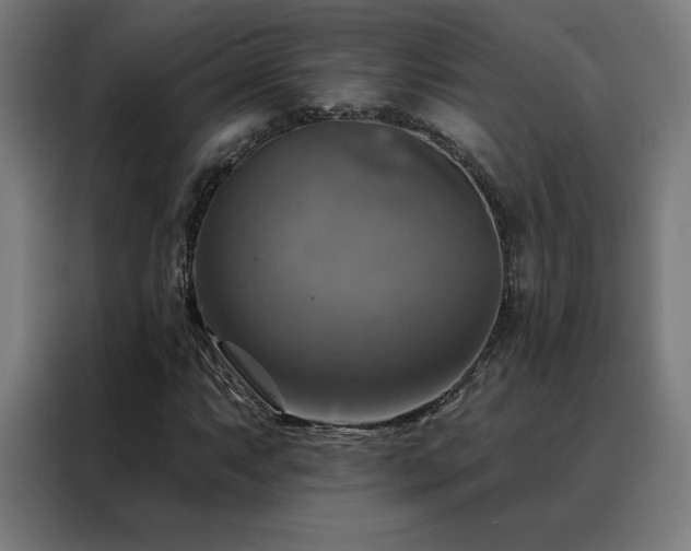 X0000088391063200705221109