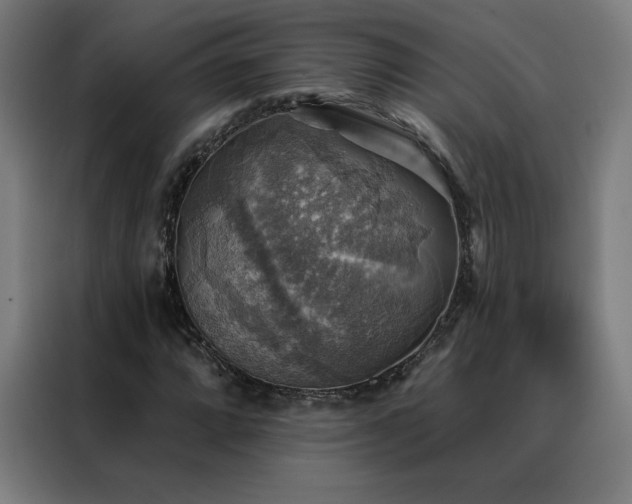 X0000088391064200705221109