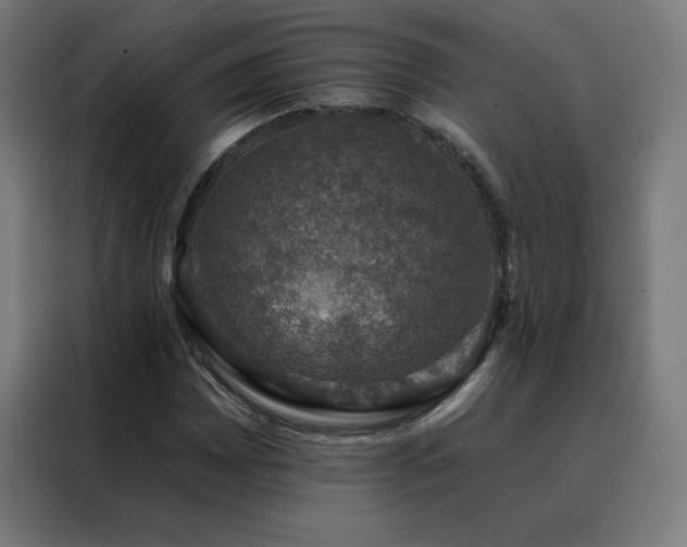 X0000088391065200705221109